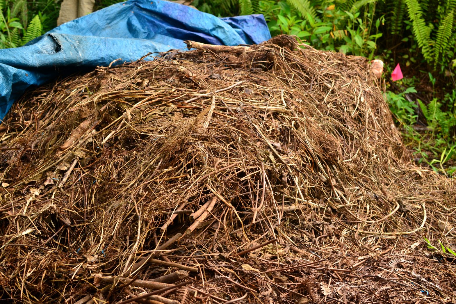 Soil Building/Bed Making - Tropical Self Sufficiency